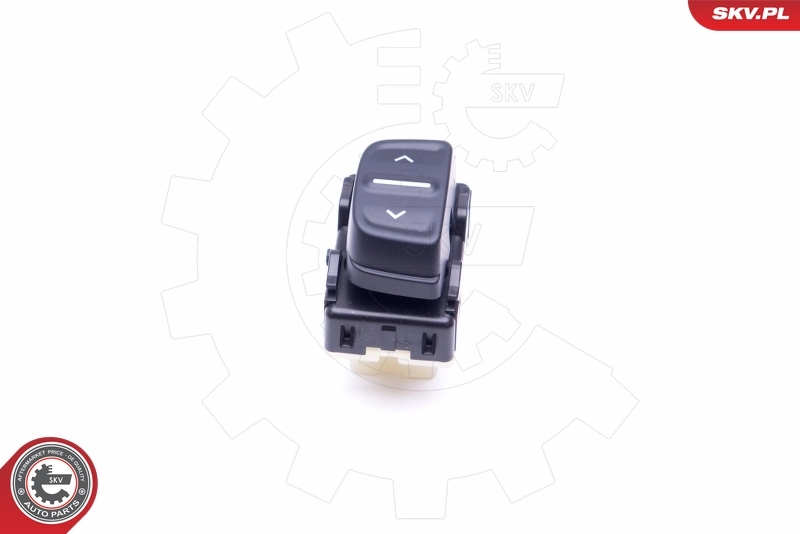 Switch, window regulator